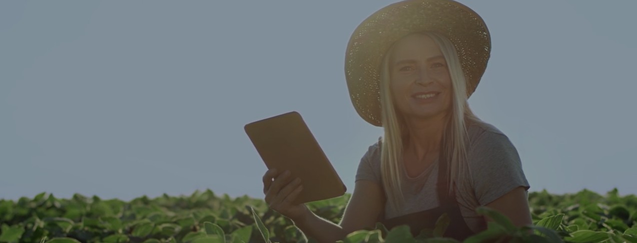 Campo agrícola de precisión al amanecer