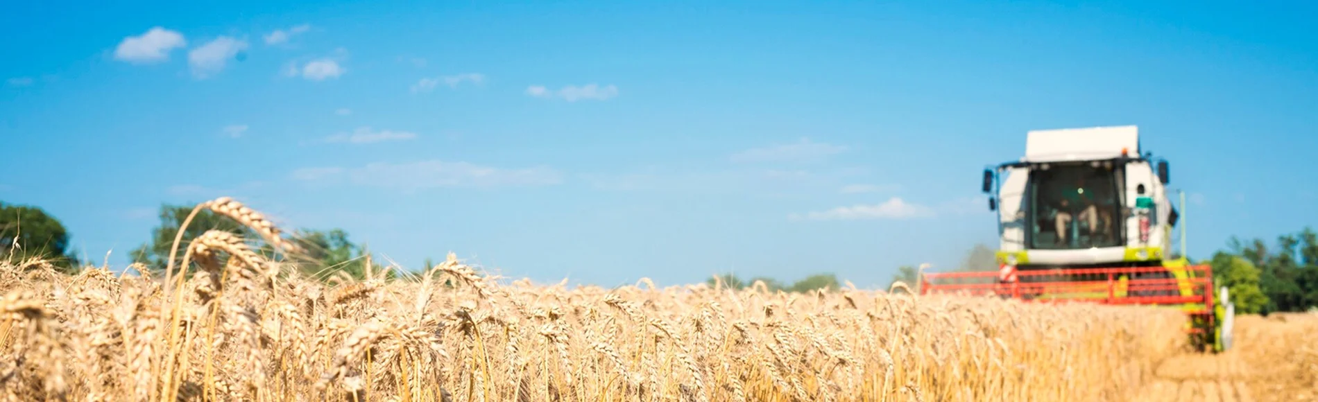 Servicios de agricultura inteligente